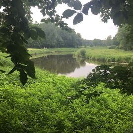 Rheine aan de Eems